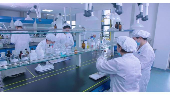 China′ S Competitive Medicinal Grade Anhydrous Dibasic Calcium Phosphate
